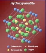 Anorganická složka kostní matrix Zejména fosforečnan vápenatý a v menší