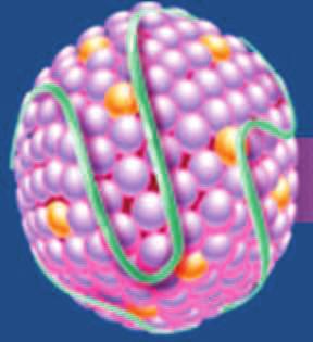 Lomitapid pro