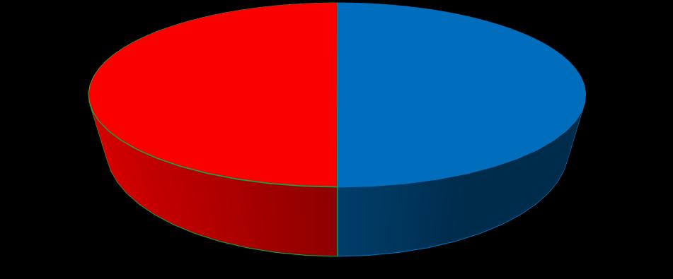 rozdělení vyštřovovaných osob dívky 50% clapci 50% clapci dívky Graf