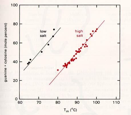 Stanovení teploty pro pipojení primeru Hodnota Tm Teplota pro pipojenp ipojení primeru (annealing( temperature) )