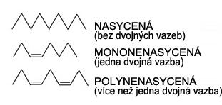 1) ROZDĚLENÍ MK DLE POČTU DVOJNÝCH VAZEB SAFA Nasycené MK MUFA Mononenasycené MK PUFA