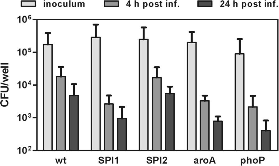 Elsheimer-Matulova et al. Veterinary Research (2015) 46:96 Page 4 of 12 SPI1, aroa and phop mutants were present at lower intracellular counts than the wild-type S.