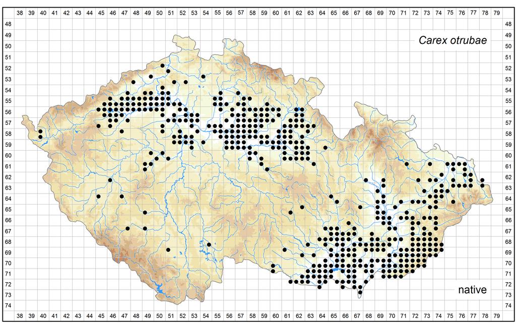Distribution of Carex otrubae in the Czech Republic Author of the map: Vít Grulich, Radomír Řepka Map produced on: 06-02-2017 Database records used for producing the distribution map of Carex otrubae