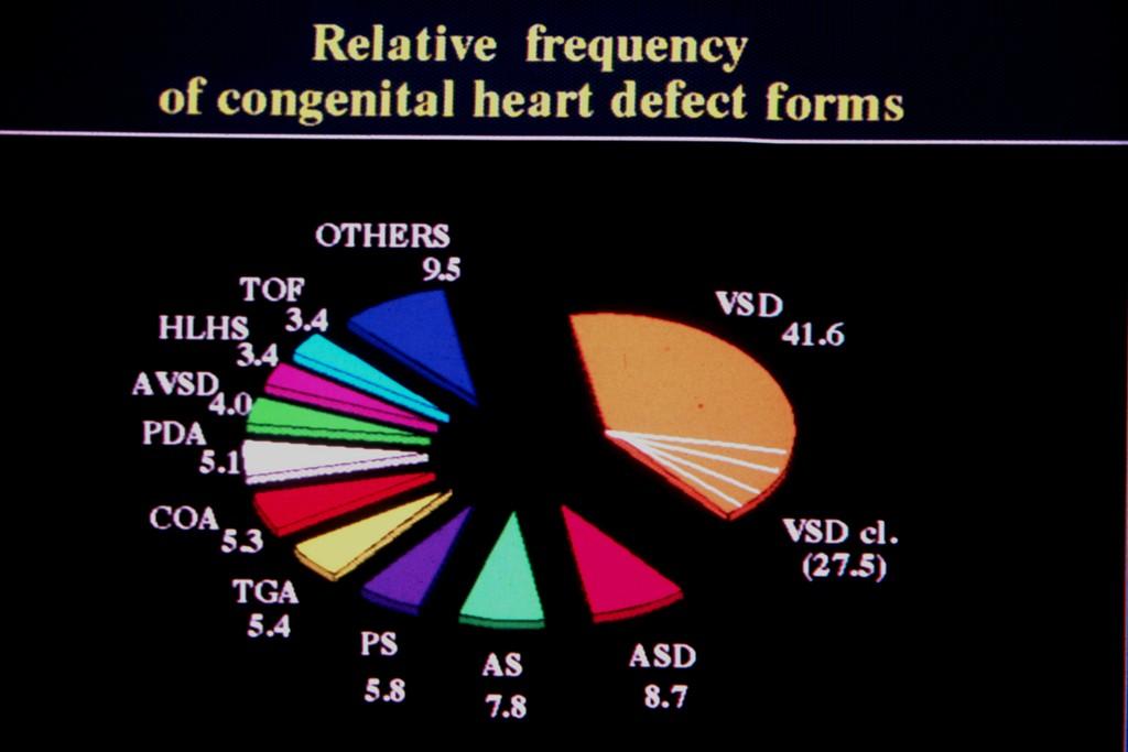 B O S S 1980-1996 CHD prevalence