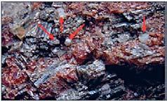 Kalcit může uzavírat zrna křemene, vesuvianu, pyroxenu a scheelitu; patrné jsou relikty wollastonitu v kalcitu. Akcesorický titanit bývá uzavřen v granátu či pyroxenu. U minerálních asociací II.