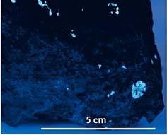Scheelitonosný pyroxenický skarn (obr. 10), resp.
