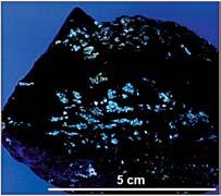 2) (a). The same sample of rock in UV radiation (b). b Scheelitová zrna z Hostákova (0,2 1 cm) mají vnitřní trhliny, jsou podrcena a některá sektorově zháší.