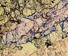 Acta rerum naturalium 8: 1 16, 2010 ISSN 1803-1587 a b Minerální asociace II.1 je typická pro scheelitonosné skarny z Hostákova. Kromě pyroxenu a granátu se objevuje křemen a epidot.
