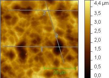 a) topografie povrchu b) výškový profil NSG10, 20 µm/s, 50 x 50 µm Obr.