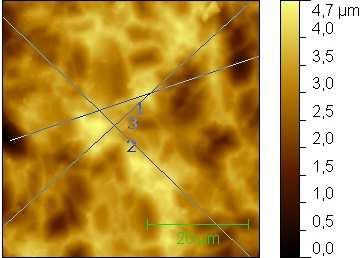 multikrystalickém substrátu s kyselou strukturou leptaný v upravené lázni R t [µm] R v [µm] R p [µm] R a [µm] R q [µm] Povrch 0,837