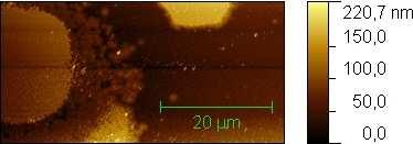 Topografie povrchu Kontakní potenciál U CPD a) oblast 1 NSG10/TiN, 20 µm/s, 10 nm, 25 x 50 µm b) oblast 2 NSG10/TiN, 20 µm/s, 10 nm, 36