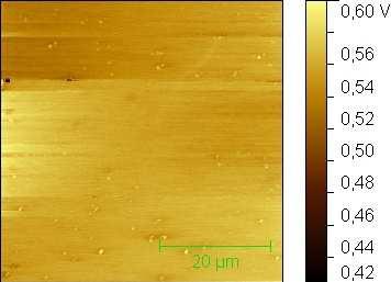 NSG10/TiN, 20 µm/s, 10 nm, 50 x 50 µm NSG10/TiN,