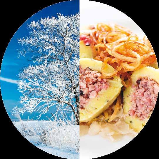 naše menu