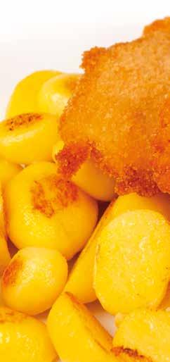 Menu nabídka Menu offer Menü DENNÍ MENU Hlavní jídlo kromě specialit + nealkoholický nápoj