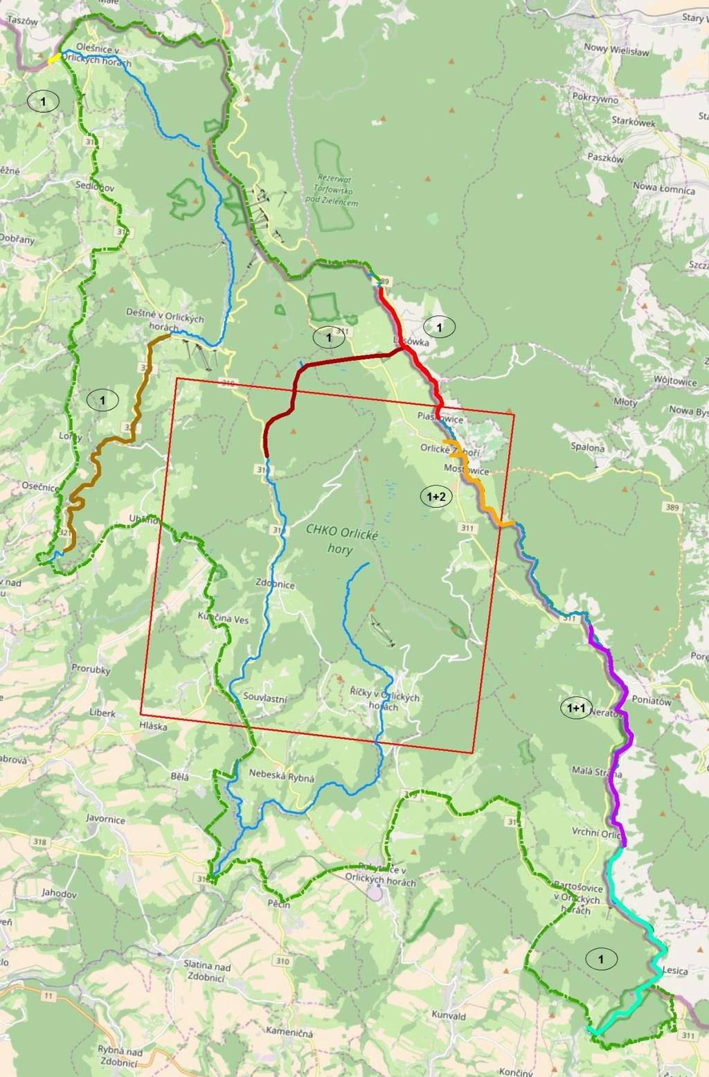 Obr. 7 Výsledky stopování v CHKO Orlické hory ze dne 23. 1. 2013. Vyznačený kvadrát má plochu 10 10 km. Zeleně hranice CHKO Orlické hory, stopovaná oblast.