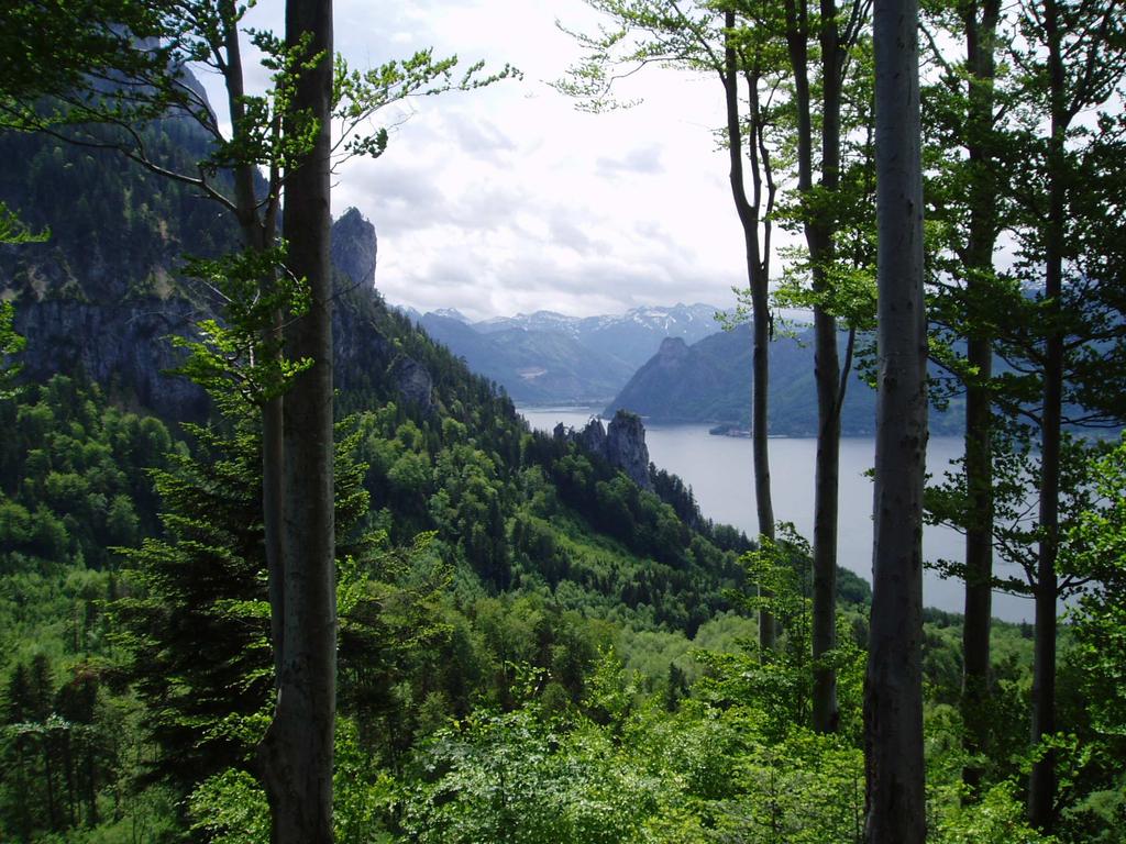 00 Jízda nahoru i dolů: 21,20 se Salzkammergut