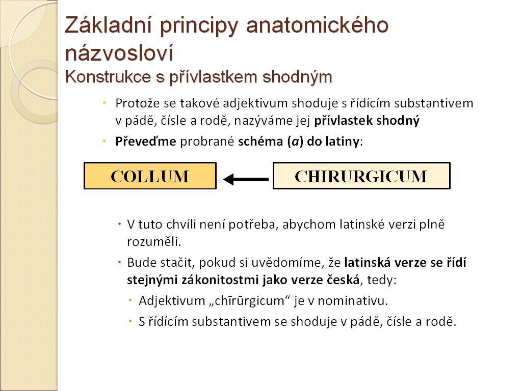 JAKUB ŽYTEK: TERMINOLOGIA MEDICA SIMPLICISSIMA LM gie, jednak v grecizující klinicko-pathologické sféře. Od tohoto cíle se odvíjí také obsah a metody výuky.