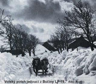 cz Bučina (1152 m) Plechý