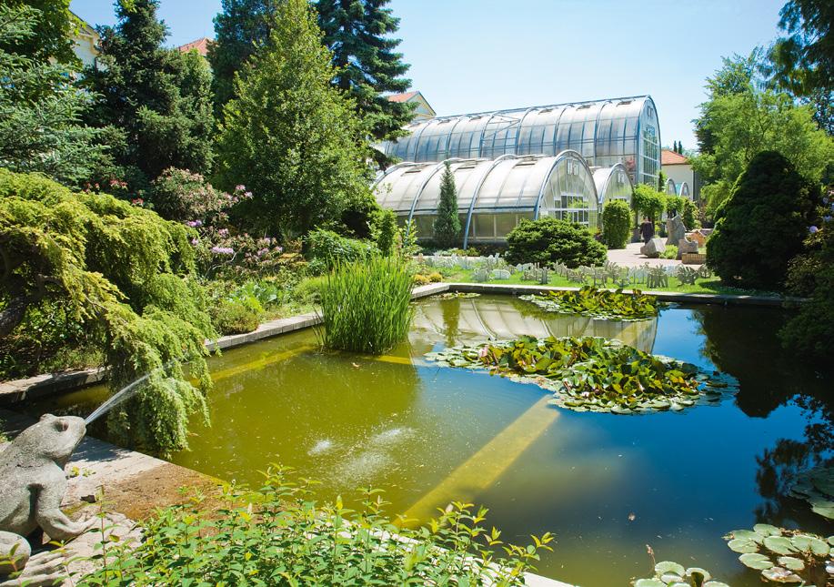 Botanická zahrada a arboretum Přírodovědecké fakulty MU v Brně Botanická zahrada a arboretum Mendelovy univerzity v Brně Kotlářská 2 Botanická zahrada Přírodovědecké fakulty Masarykovy univerzity