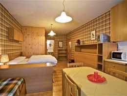 - 18 až 23 m² - obývací pokoj s kuchyňským koutem, skříňovou manželskou postelí a případně 2 rozkládacími gauči pro 1 osobu, sociální zařízení, zpravidla balkon; mono 4* jen při maximální obsazenosti