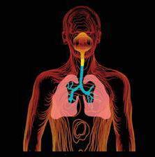 Air particles deposition in the airways