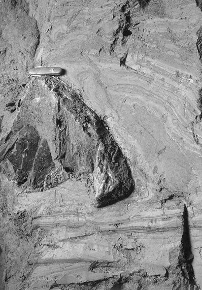 the base of the section. Deposits are intersected by numerous clastic dykes filled with sandy gravel, sand and clayey silt from the overlying beds (Fig. 18).