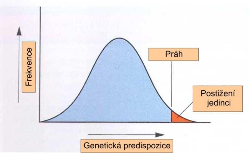 Dědivost a vrozená predispozice Heritabilita (H) je podíl genetické na celkové fenotypové variabilitě (V T ) kvantitativního znaku: H 2 = V G / V T V T součet variability genetické (V G ) a