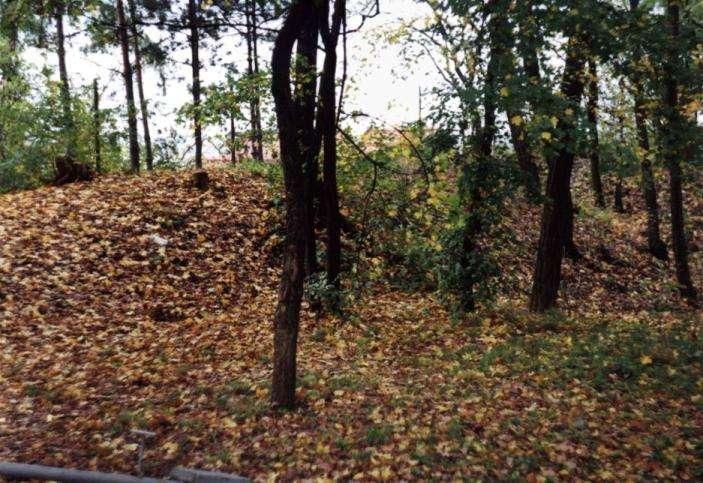The Fortification was be excavated in three points, only in 1965 by Martinec. It consist of wooden Construction and stone wall (revetment).