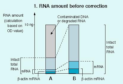 problém: precizní kvantifikace mrna spektrofotometrické stanovení koncentrace RNA nemusí být dostatečné řešení: stanovení koncentrace RNA