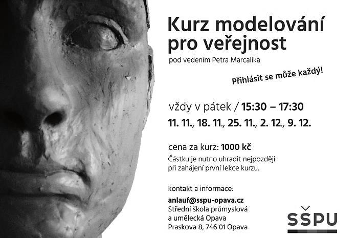 byl sestaven pětičlenný tým, které hájil barvy naší