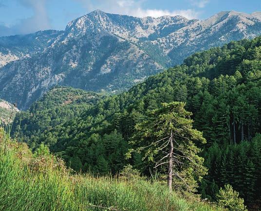 Dinaridy Jaderské Thrácko-Makedonský Černé Jónské Egejské Peloponés Středozemní Kréta 2 3 4 5 1 Geomorfologický vývoj Balkánského poloostrova. Upraveno podle: S. V. Popov a kol.
