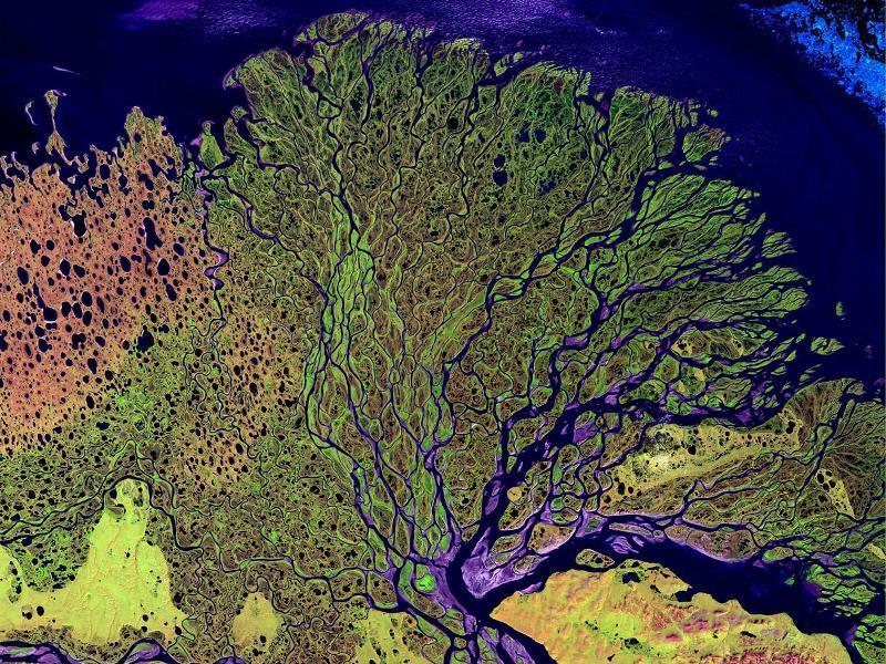 Delta nejvýchodnější sibiřské řeky