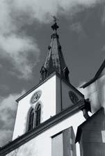 členov