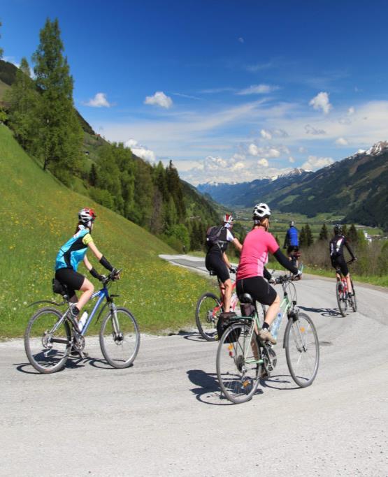 Cyklotrasa začíná v národním parku Vysoké Taury a podél řeky Mur dovede cyklistu do kulinářského hlavního města Rakouska Grazu a do vinařské a termální oblasti na trojmezí hranic Rakouska, Slovinska