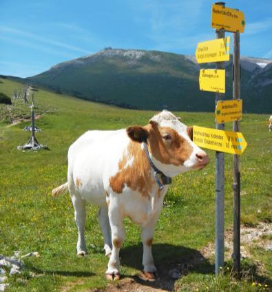 Silně erodovaná plošina ve výškách 1500 až 2007 m je pokryta obrovskými krasovými závrty. Pohoří Schneeberg je často vidět z jižní Moravy. Účastníkům je k dispozici hotelový bazén. 1. den: odjezd v ranních hodinách.