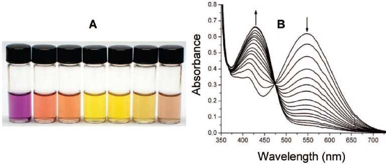 Intermolecular interactions Kation - π Cd 2+ no metal, Li +, Na +, Mg 2+, Ca 2+, Cd 2+,