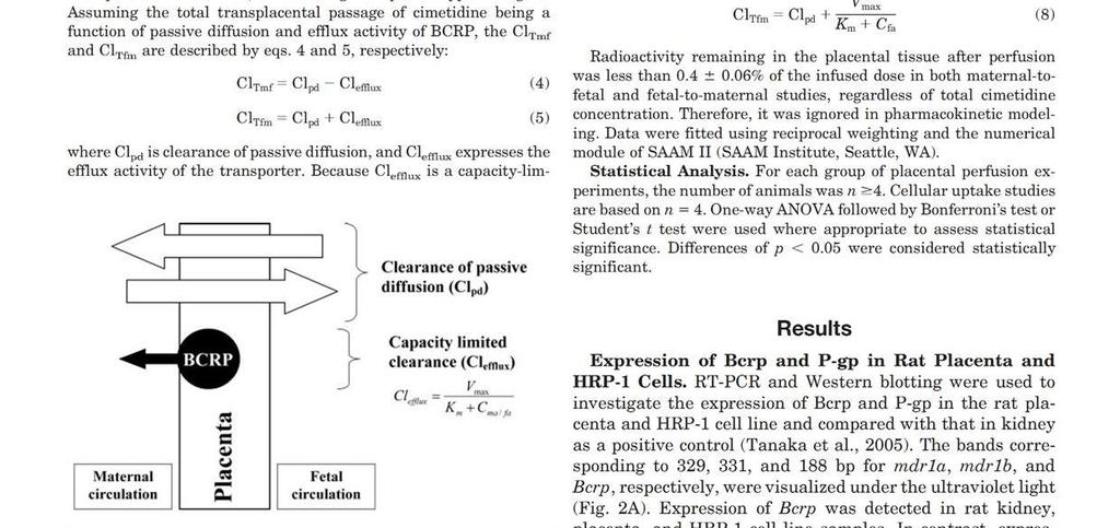 Expression and transport activity