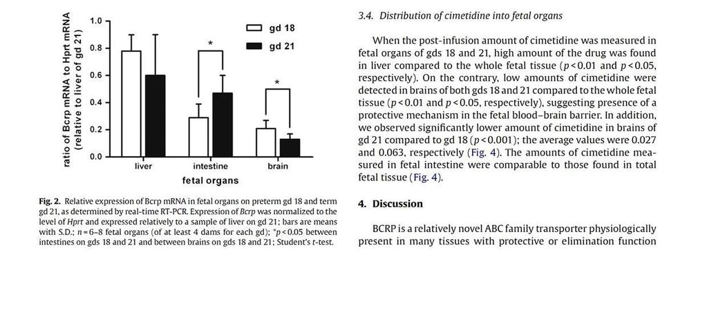 (Bcrp/Abcg2) in fetal