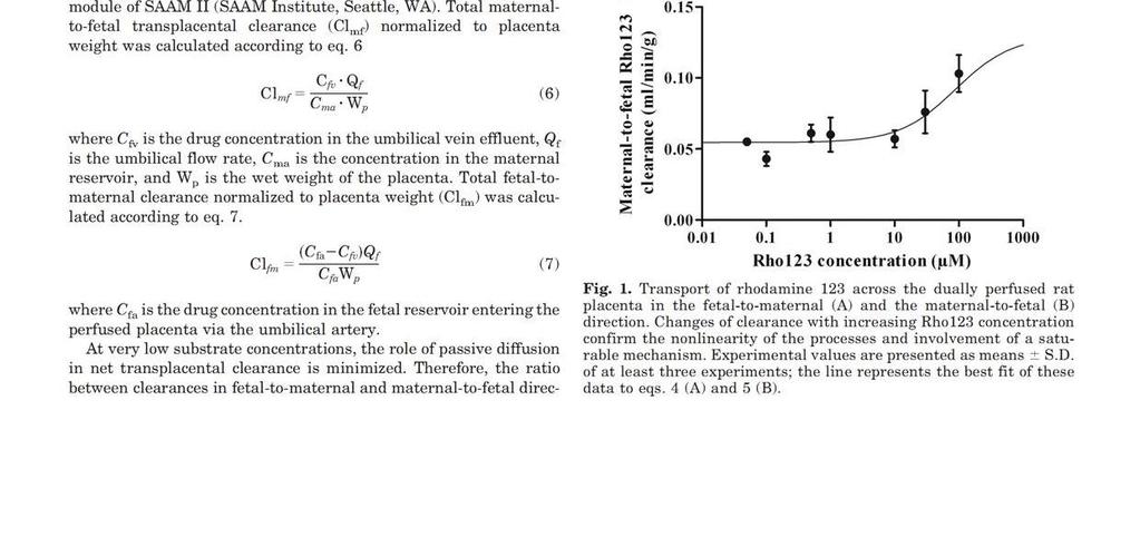 FL prazosin; effect of drug efflux