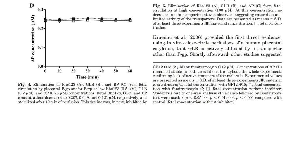 Transplacental pharmacokinetics of glyburide, rhodamine 123 and BODIPY