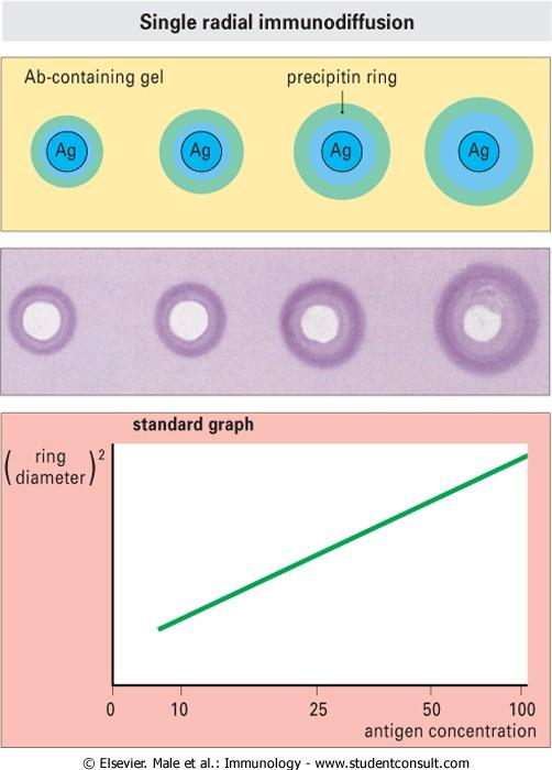Podle počtu difundujících reaktantů: jednoduchá radiální imunodifúze - koncetrační