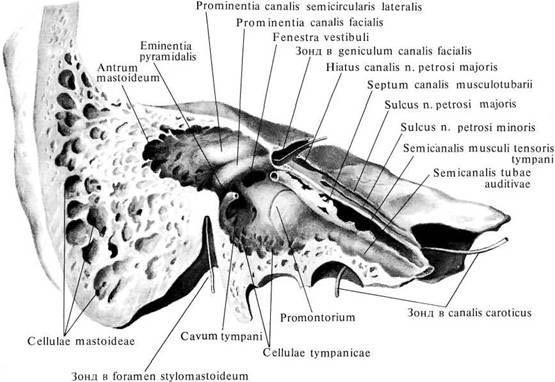 Pars mastoidea: processus mastoideus postnatálně, pneumatizace, incisura