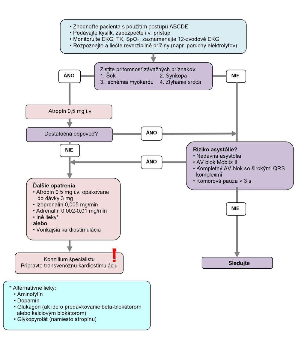 Obrázok 11. Algoritmus postupu pri bradykardii 5.3.