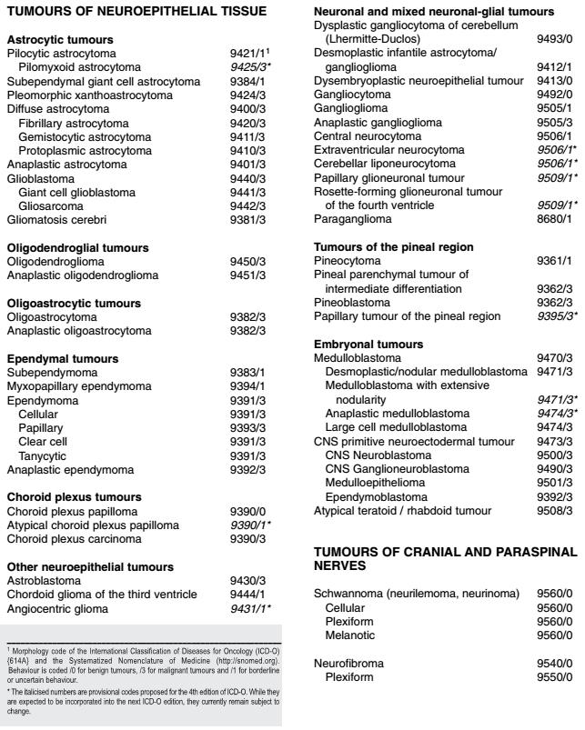 WHO klasifikace nádorů CNS NÁDORY NEUROEPITELIÁLNEHO