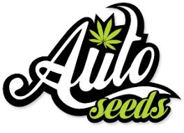 Soma Heavy Bud Kali 47 Auto Jack Herer Auto NYCD Auto Somango Auto Heavy Bud Auto Skunk 47 Auto Afghan Skunk 390 Kč 460 Kč 390 Kč 390 Kč 290 Kč 1 1 1 1 1 130 Kč