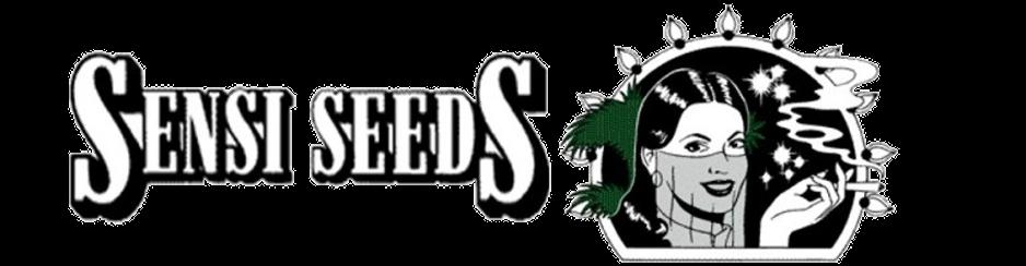 SENSI SEED BANK 10 Ks Afghani #1 American Dream Big Bud Black Domina California Indica Durban Eagle Bill Early Girl Early Pearl Early Skunk Ed Rosenthal Superbud First Lady Four Way Fruity Juice
