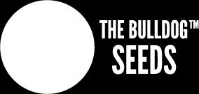 Objednávky na tel: 777 837 449 nebo mail: babnapoje@email.cz Balení 5 ks The Bulldog Skunk Original Afghan Feminizovaná Bubblegum Kush Bullshark Citral Skunk Energy Haze Jack Herer Northern Light O.Z.