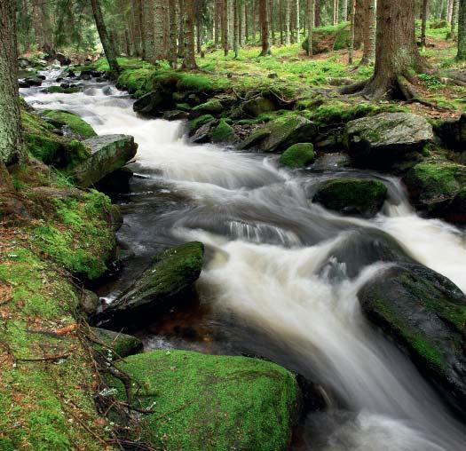 Jedinečný přírodní celek představuje Národní park Šumava, který pro své unikátní souvislé zalesnění bývá právem označován jako zelená