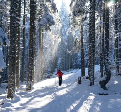 Milovníci vodních sportů najdou vyžití na lipenské přehradě, která je svou rozlohou 48 km 2 největší vodní