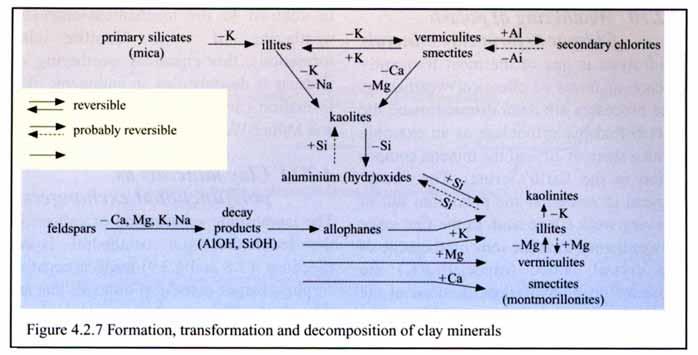 Vznik, transformace a